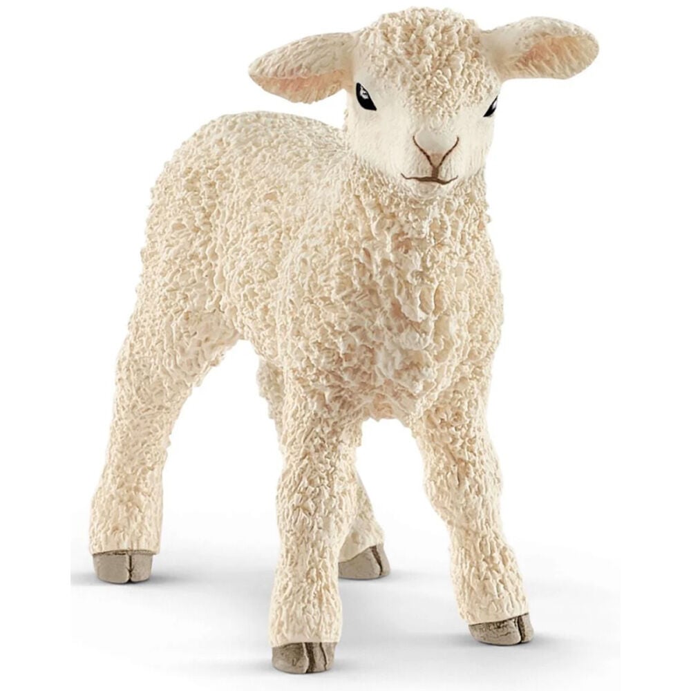 image of Lamb