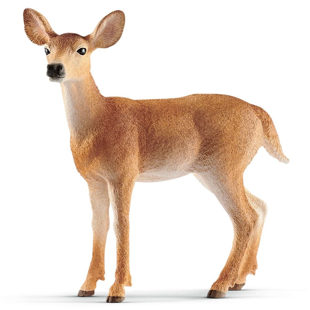 image of White-Tailed, doe