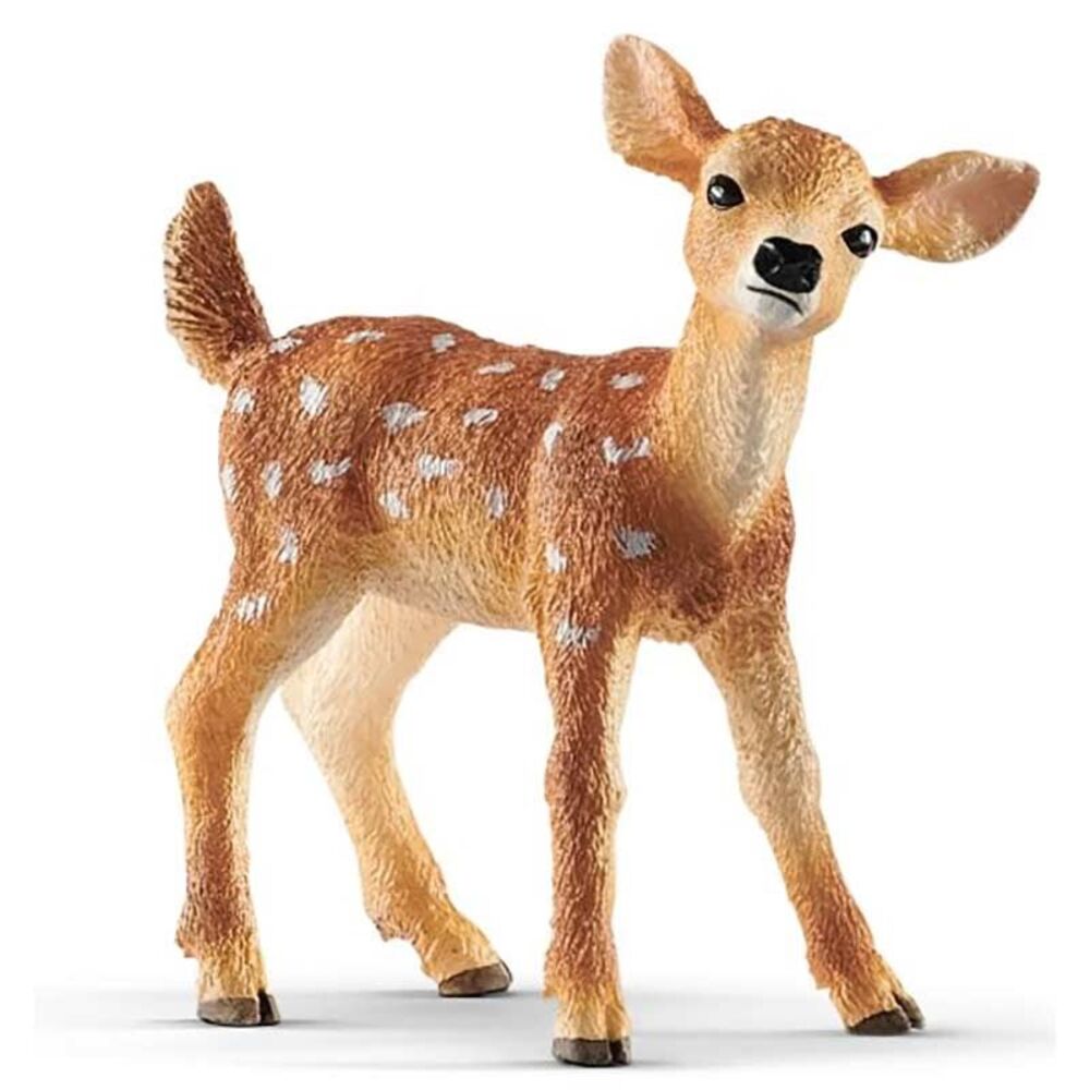 image of White-tailed, fawn