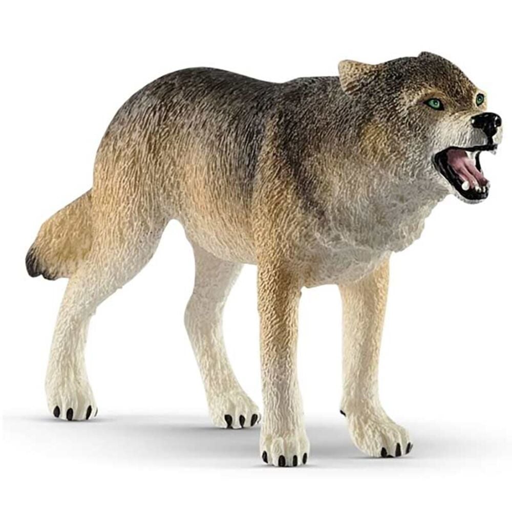 image of Wolf