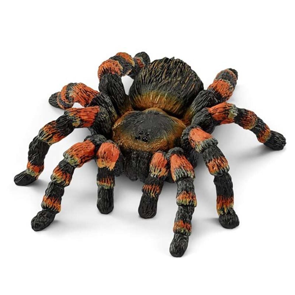 image of Tarantula