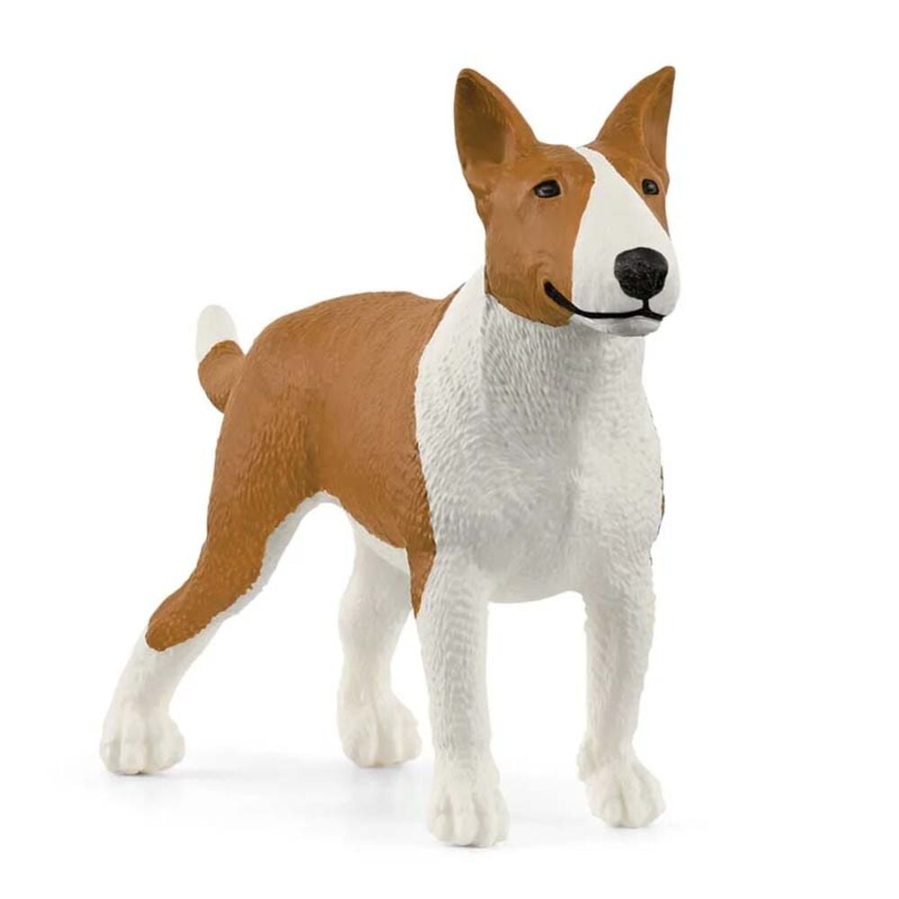 image of Bull Terrier