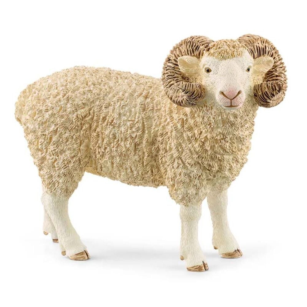 image of Ram