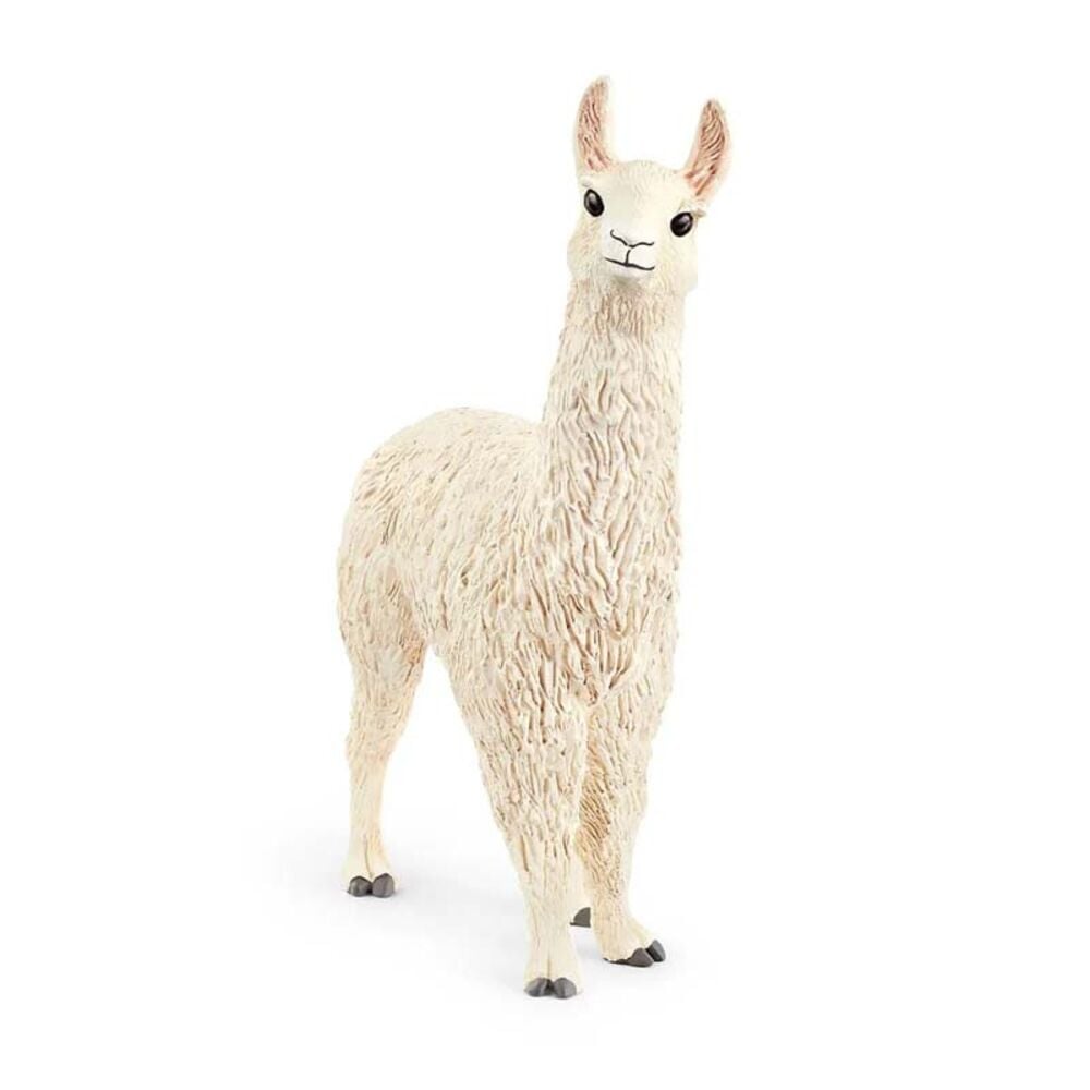image of Llama