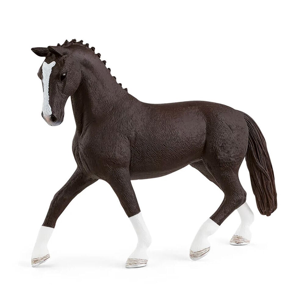 image of Hanoverian Mare, Black