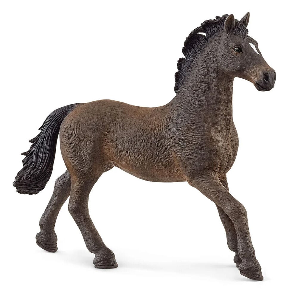 image of Oldenburger Stallion