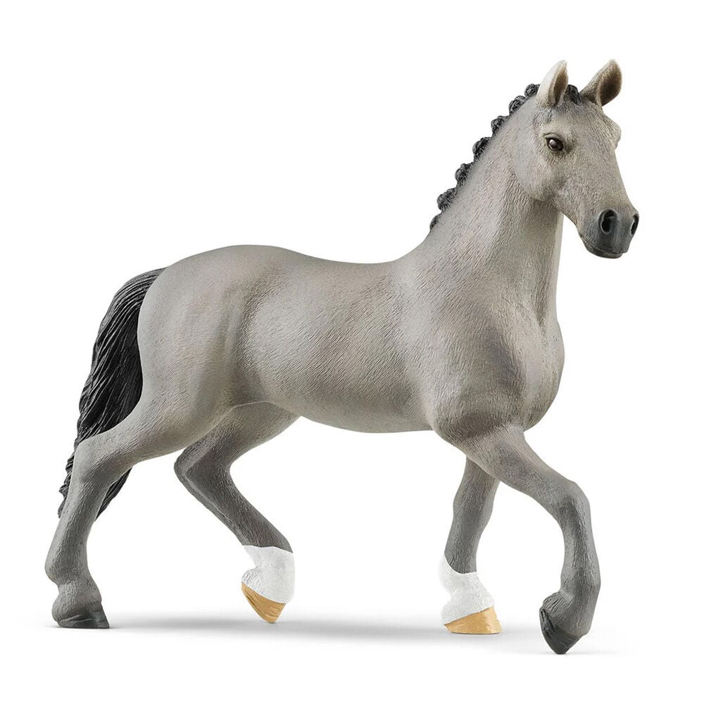 image of Selle Francais Stallion