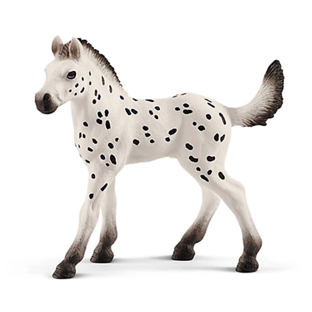 image of Knabstrupper Foal
