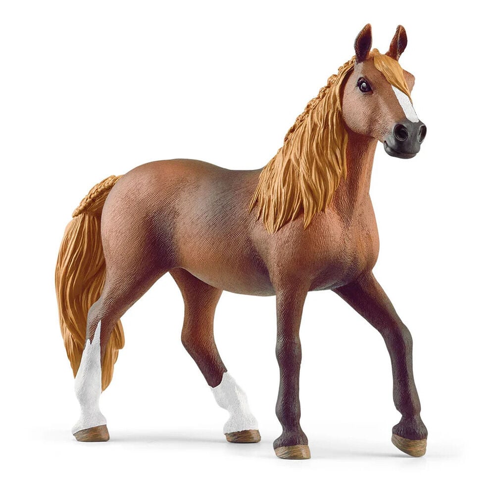 image of Peruvian Paso Mare