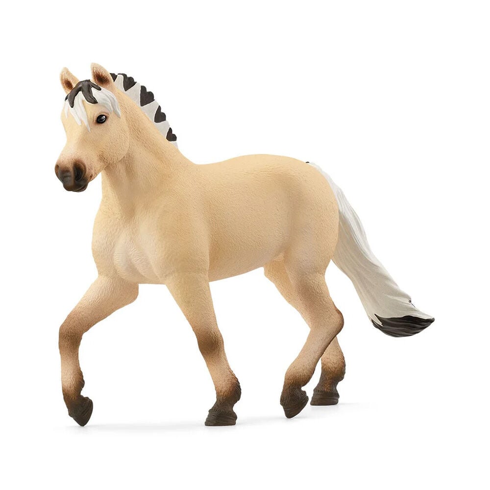 image of Norwegian Fjord Horse Mare