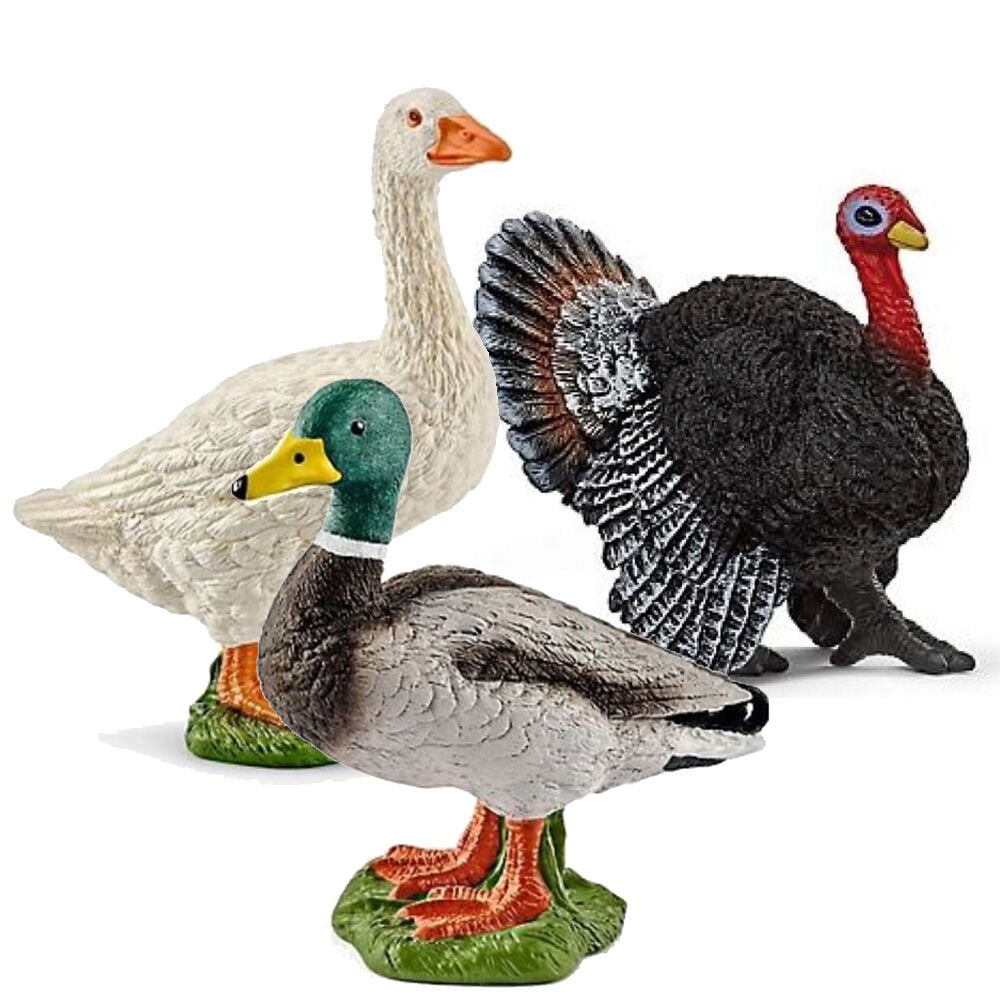 image of Fowls and Friends Set