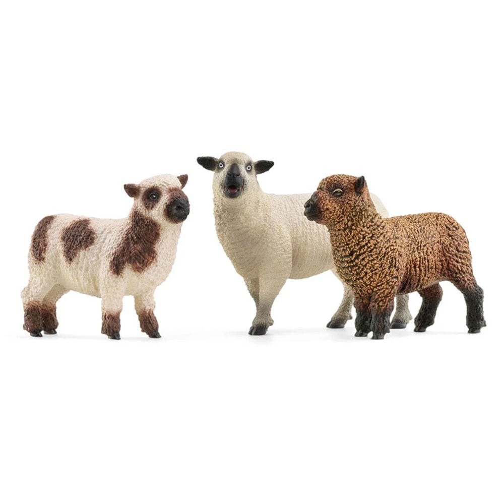 image of Sheep Friends