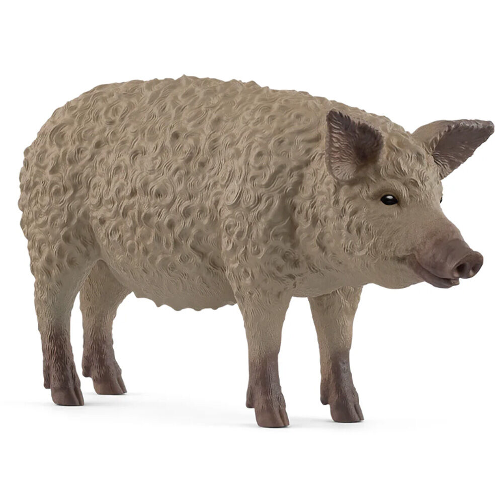 image of Mangalica Pig