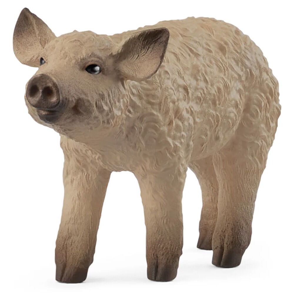 image of Mangalica Piglet