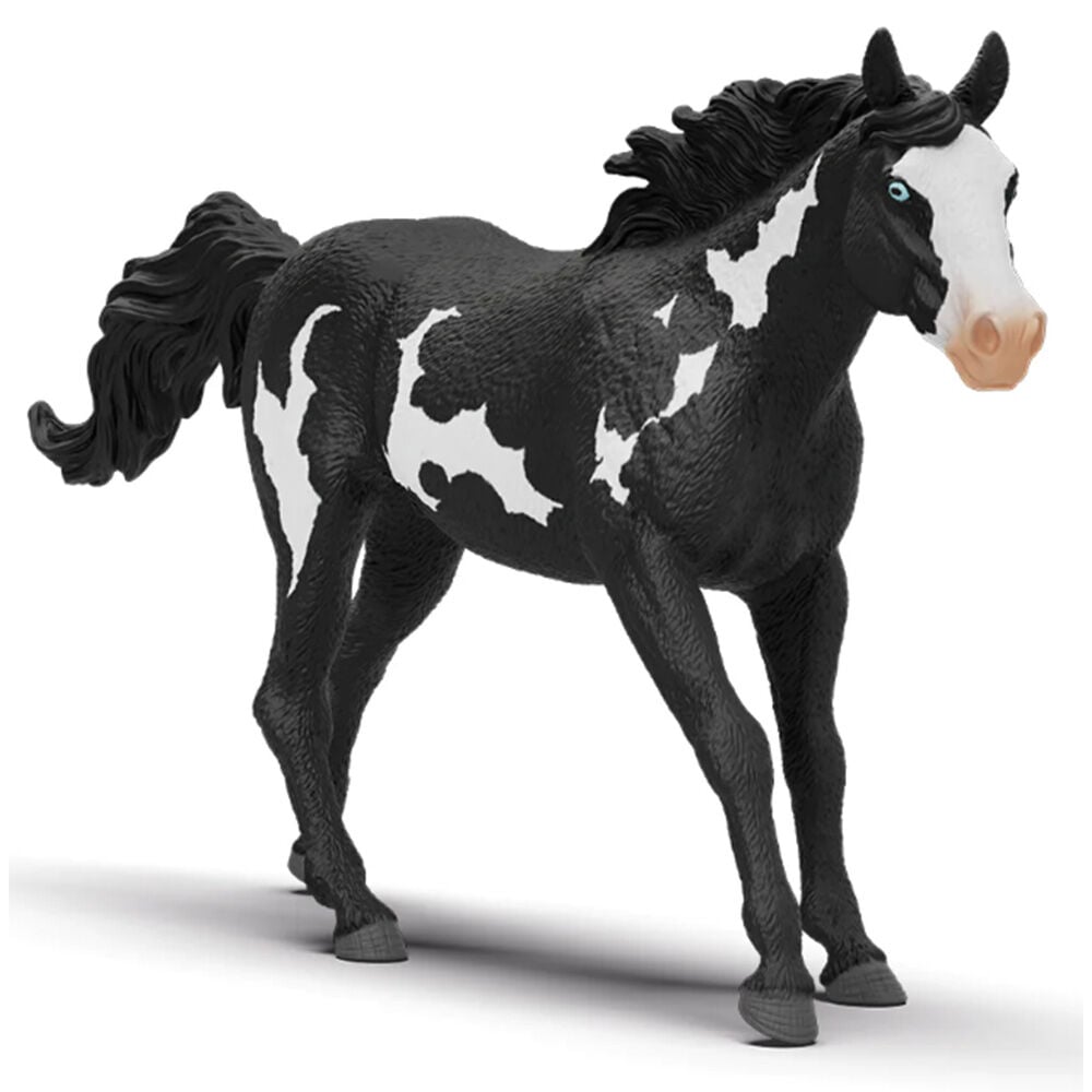 image of Paint Horse, gelding