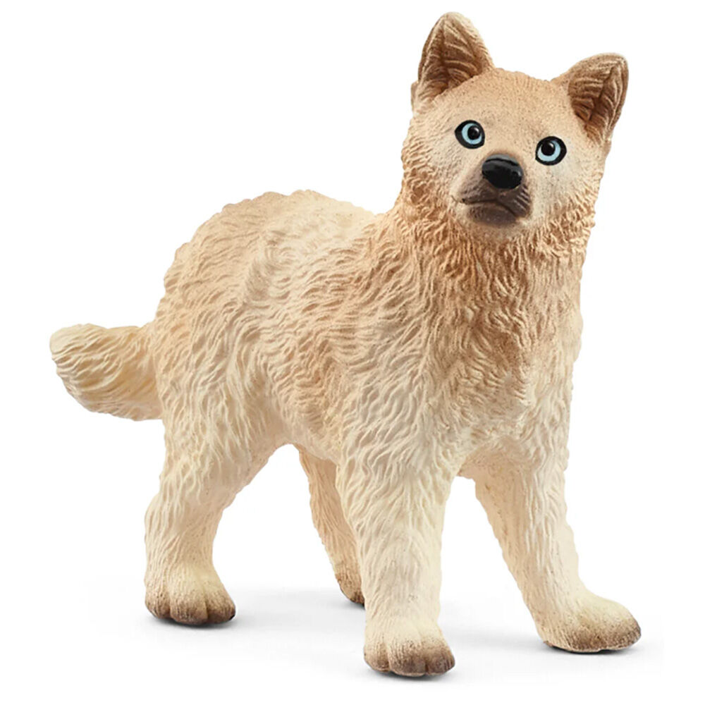 image of Arctic Wolf, cub