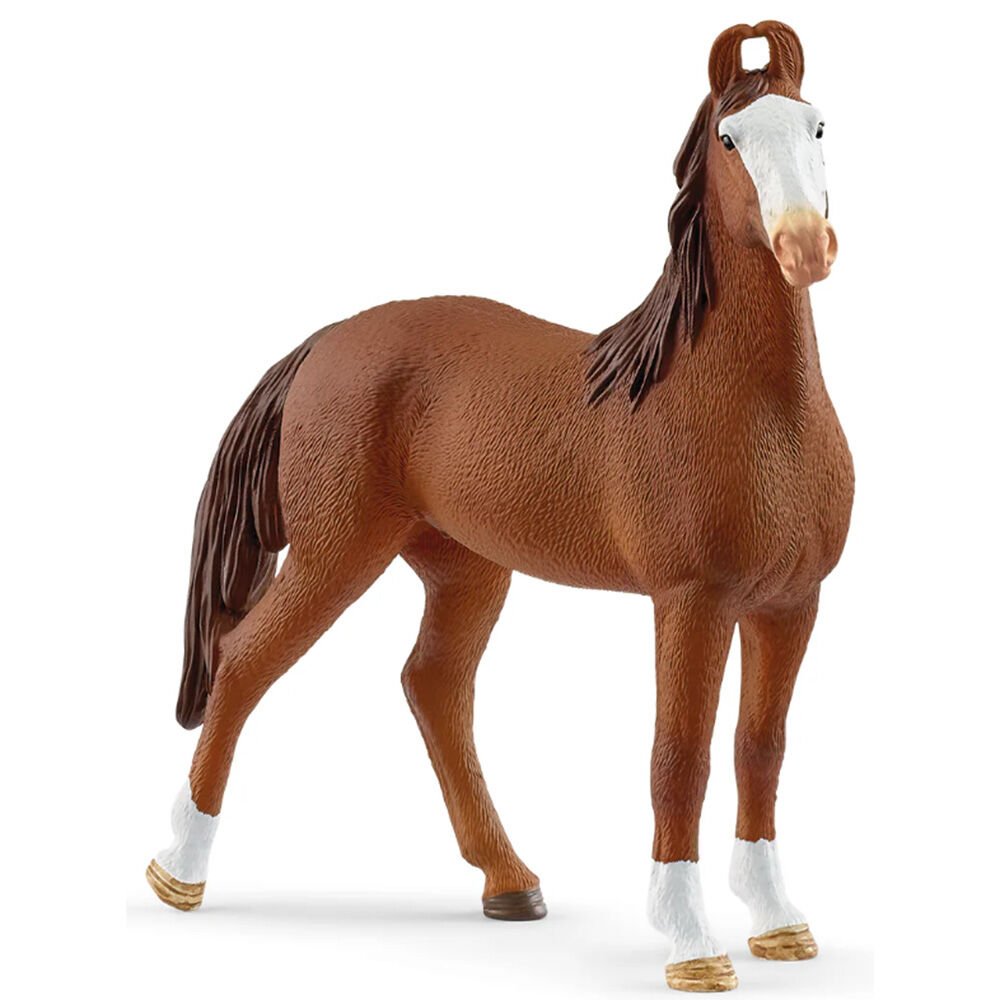 image of Marwari, mare