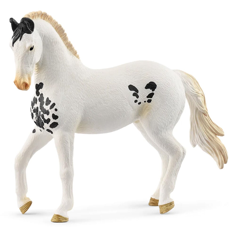 image of Marwari, stallion