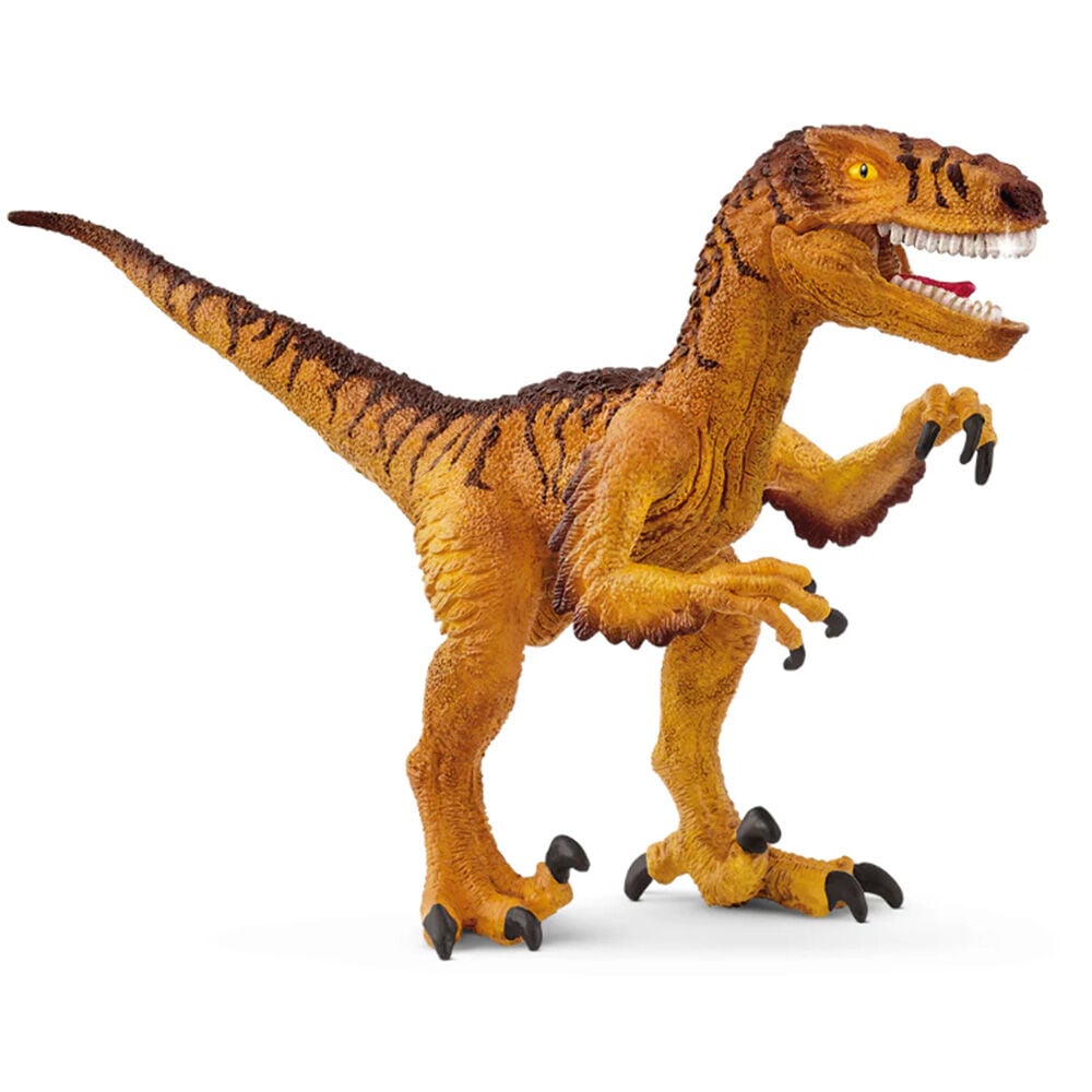 image of Velociraptor