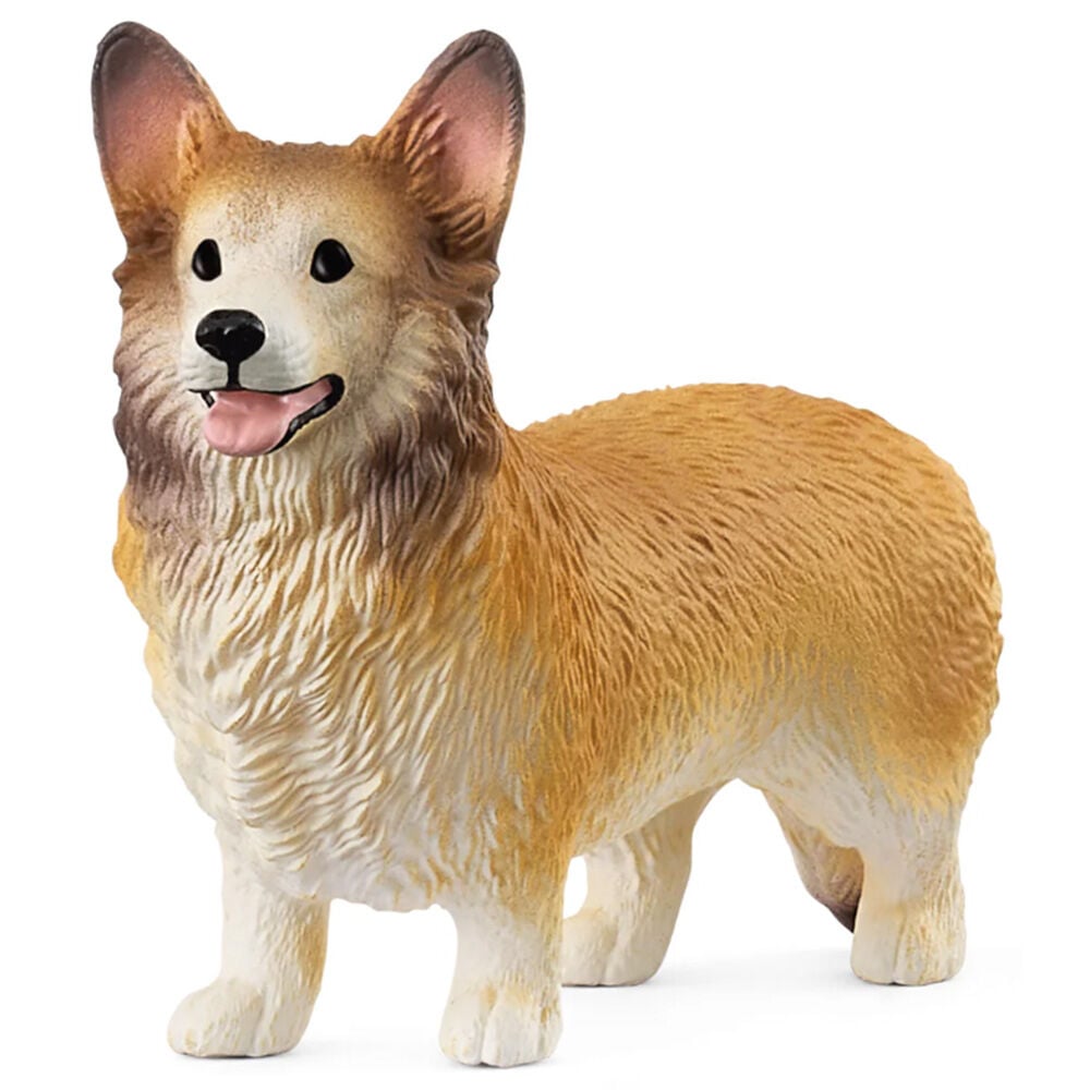 image of Welsh Corgi