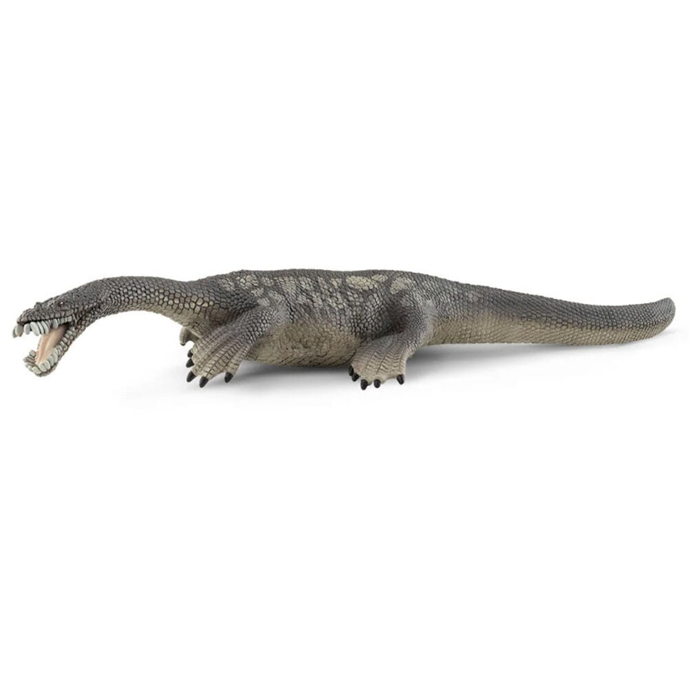 image of Nothosaurus