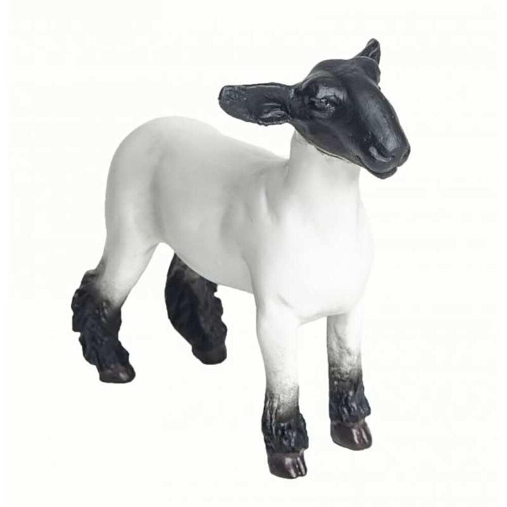 image of Champion Crossbred Market Lamb