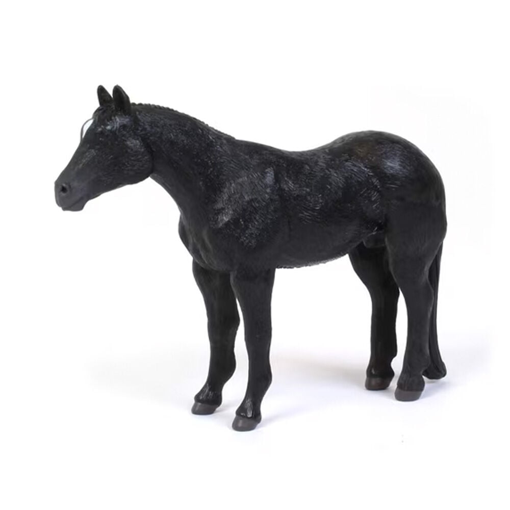 image of Black Quarter Horse