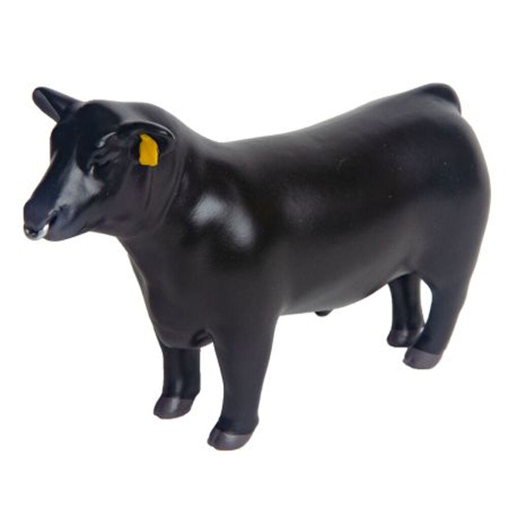 image of Angus Show Bull with Nose Ring
