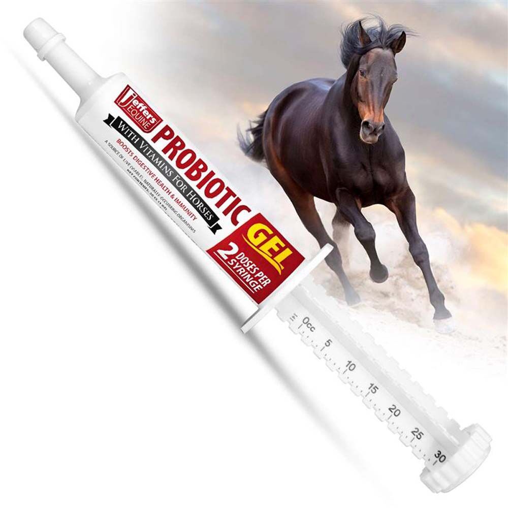 image of Probiotic Oral Gel Supplement for Horses, 30cc