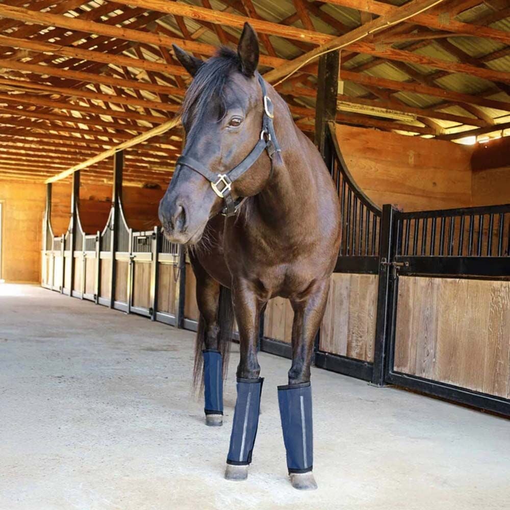 image of Romper Stomper  "Stomp-Free"  Fly Boots for Horses- Navy, 4 pk
