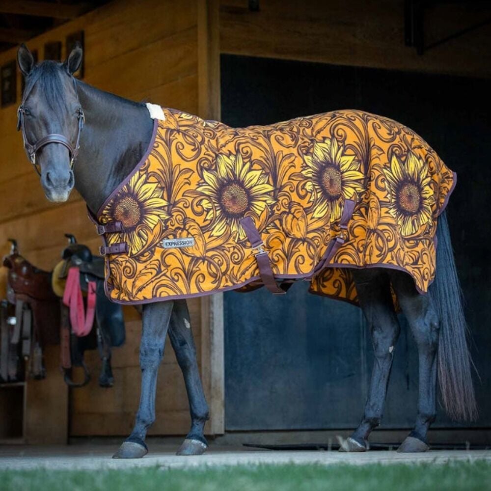 image of Expression 1200D Standard Neck Horse Turnout Sheet - 0 g - Bloomin' Toolin' 
