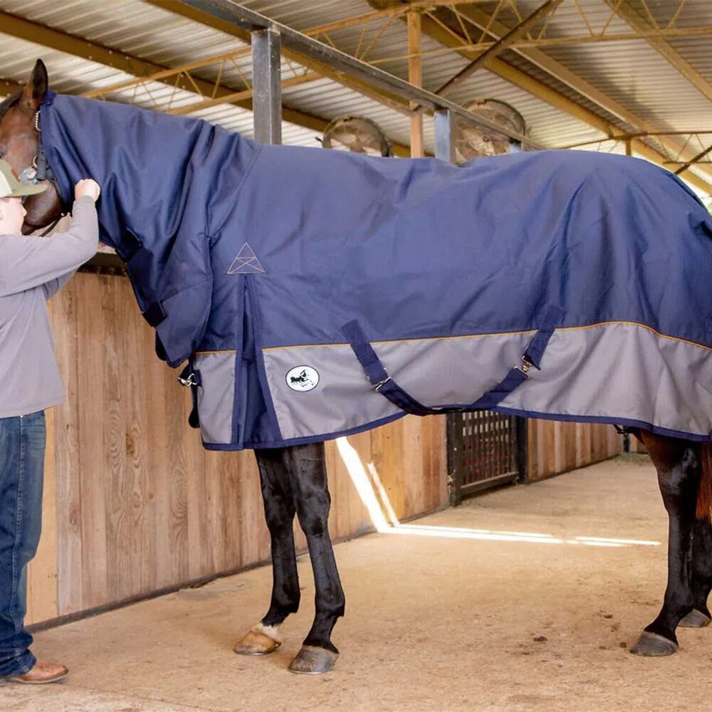 image of Economy Plus 1200 Denier Combo Neck Medium Weight Horse Turnout Blanket - 240 g Fill - Navy/Gray