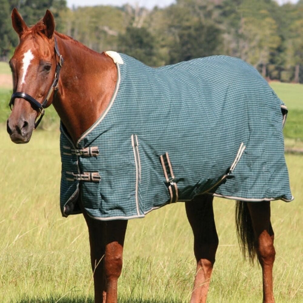 image of Basic Canvas Standard Neck Horse Turnout Blanket - Green/White Check