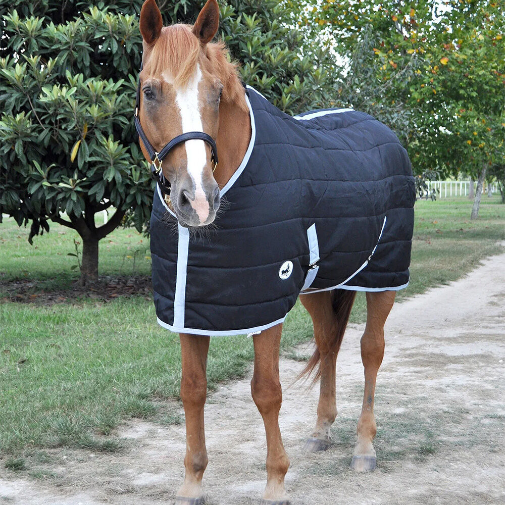 image of Closed Front 240 g Fill Standard Neck Horse Stable Blanket - Black/Silver 