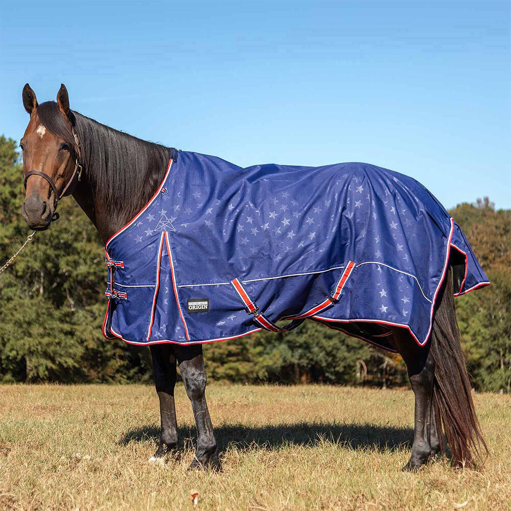 image of Poplar Head Origin 600D Horse Turnout Blanket - 240 g - Allegiance
