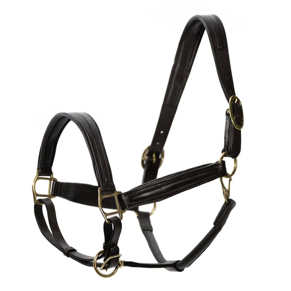 image of Softie Padded Leather Horse Halter - Havana