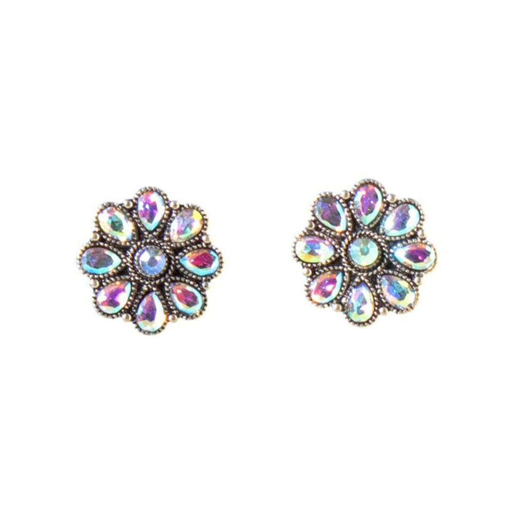 image of Women's Aurora Borealis Stone Earrings