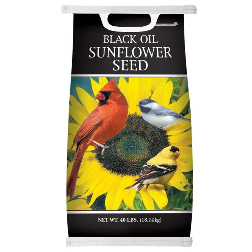 image of Black Oil Sunflower Seed, 25 LB