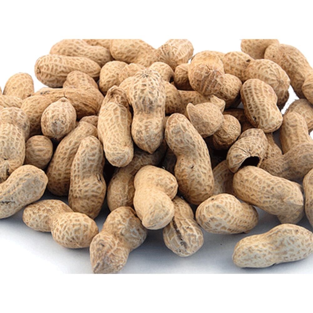 image of Salted Peanuts in the Shell, Sold by the Pound