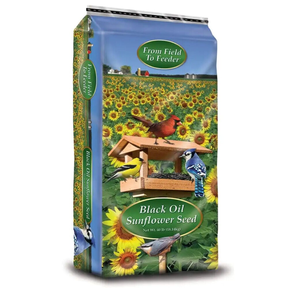 image of Black Oil Sunflower Seed, 40 LB