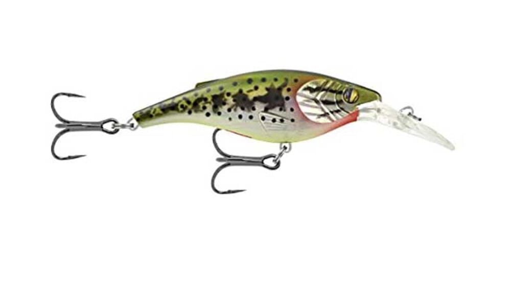 image of Kinchou Baby Bass Shad 5 Fishing Lure