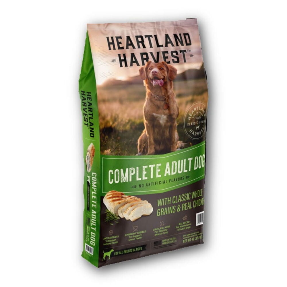 Adult Dog Food