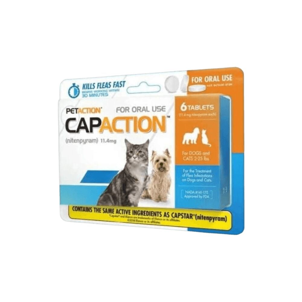 Flea & Tick Chews & Pills