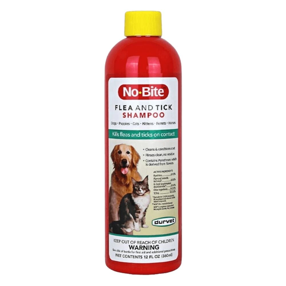 Cat Flea & Tick Grooming