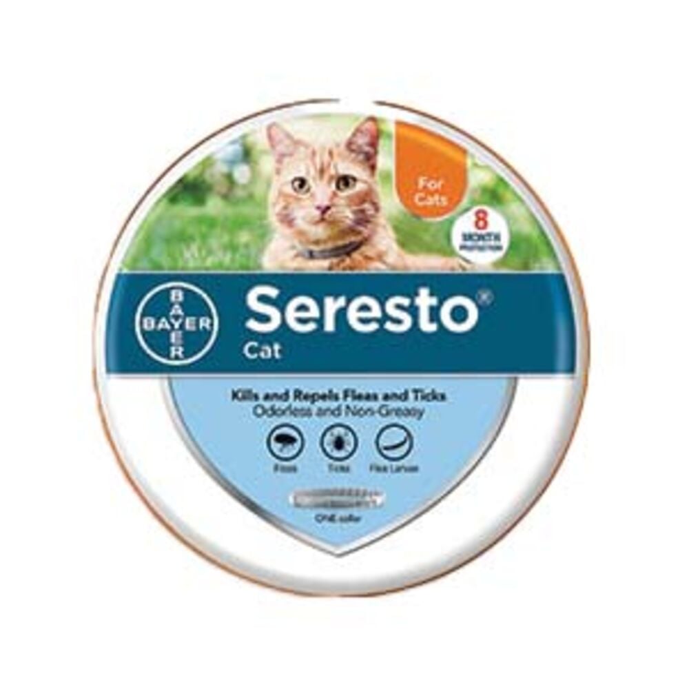 Cat Flea and Tick