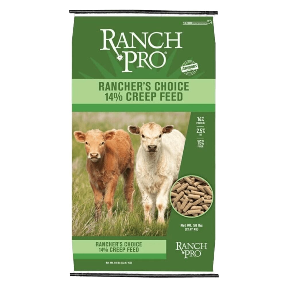 Cattle Feed