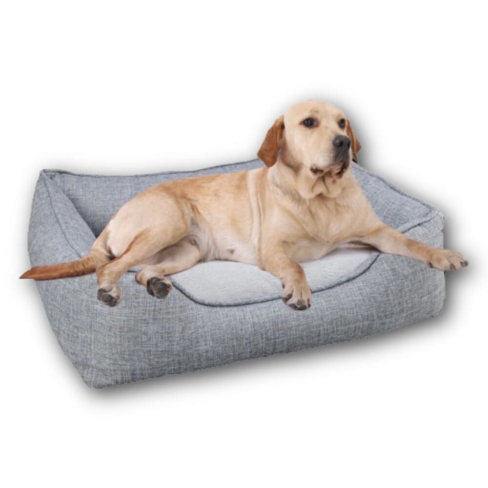 Dog Beds & Pillows