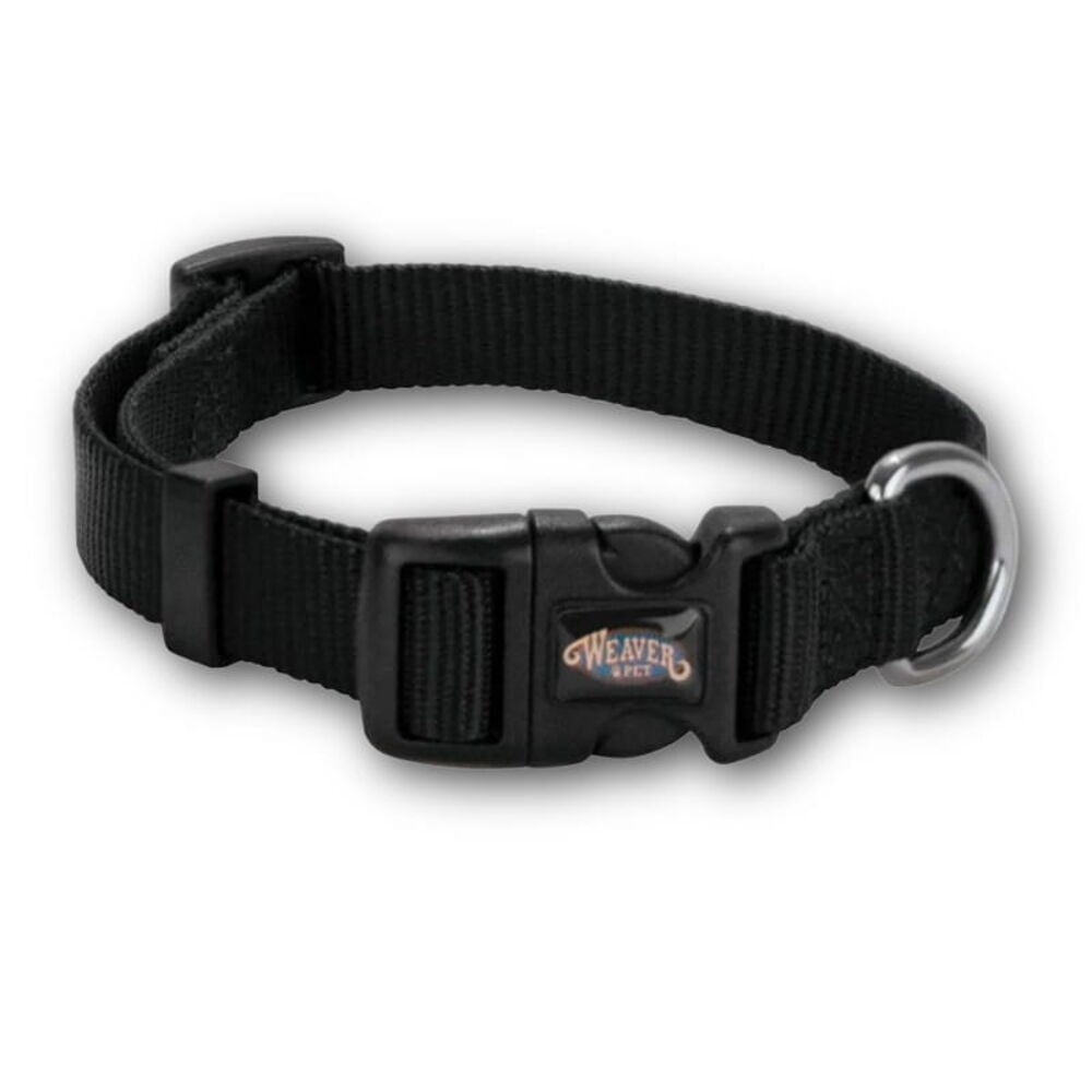 Dog Collars