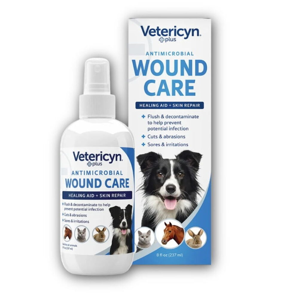 Dog Care & First Aid