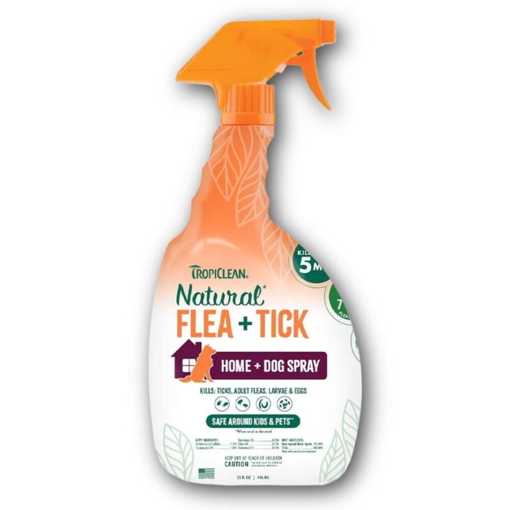 Yard & Home Treatments